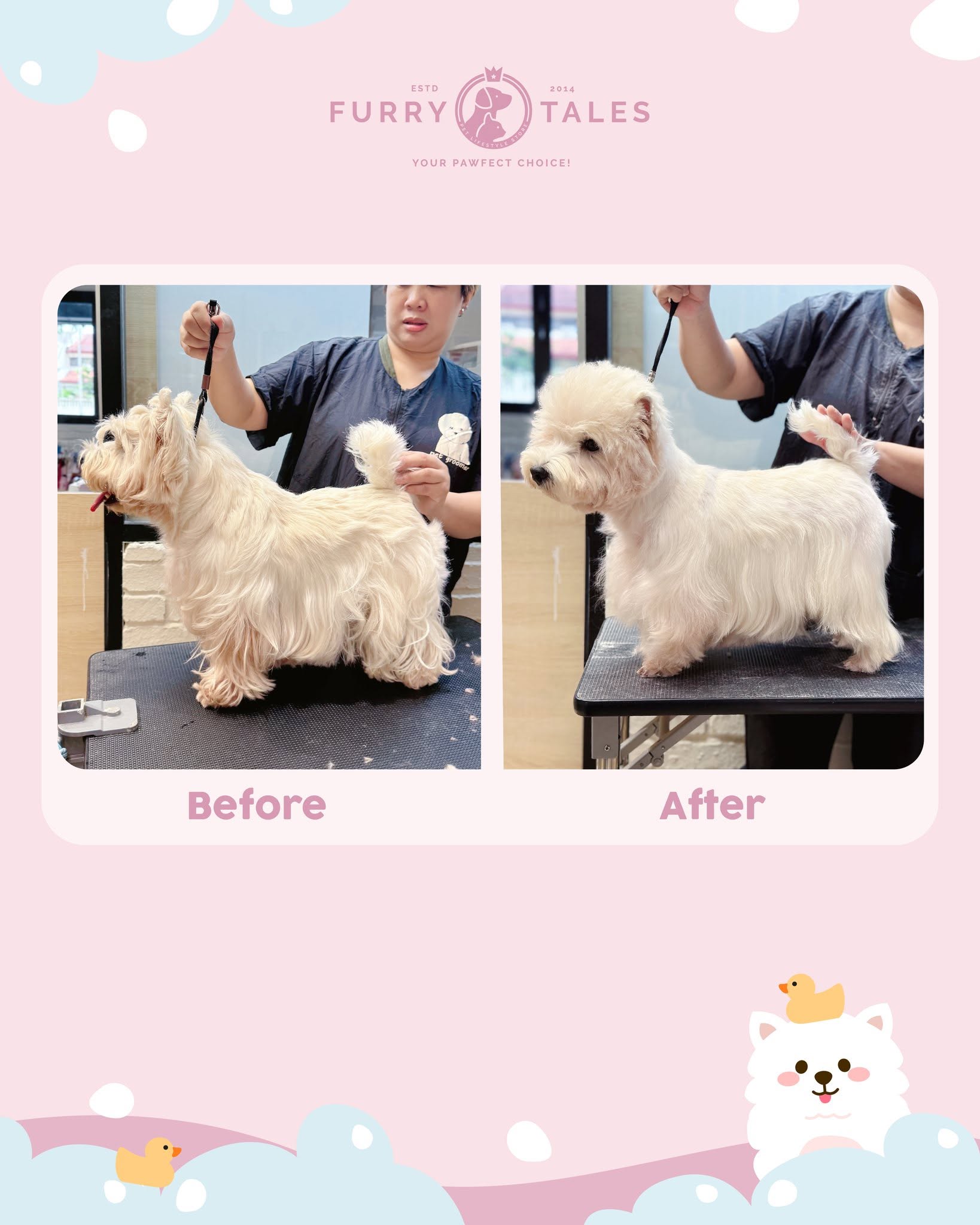 Furry Tales Pet Lifestyle Store 7