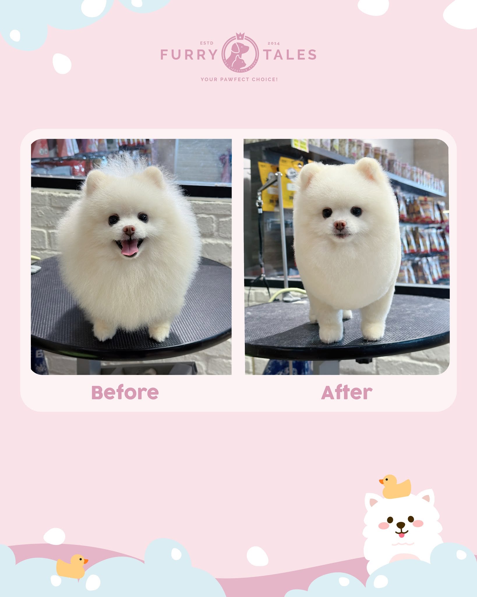 Furry Tales Pet Lifestyle Store 8